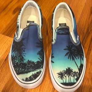 Brand new in box Van Doren Hoffman/Blue classic Vans slip on.  Men’s 6.5 women 8